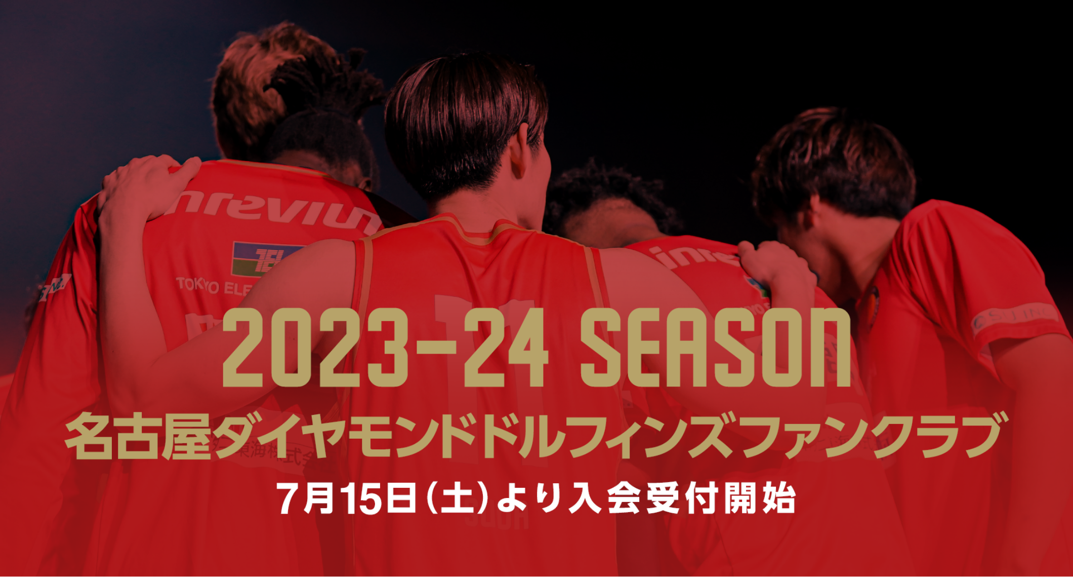 2023-24SEASON ファンクラブ概要 | 名古屋ダイヤモンドドルフィンズ