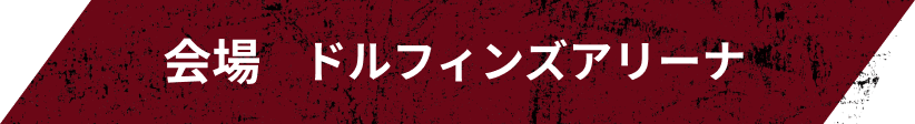 会場 ドルフィンズアリーナ