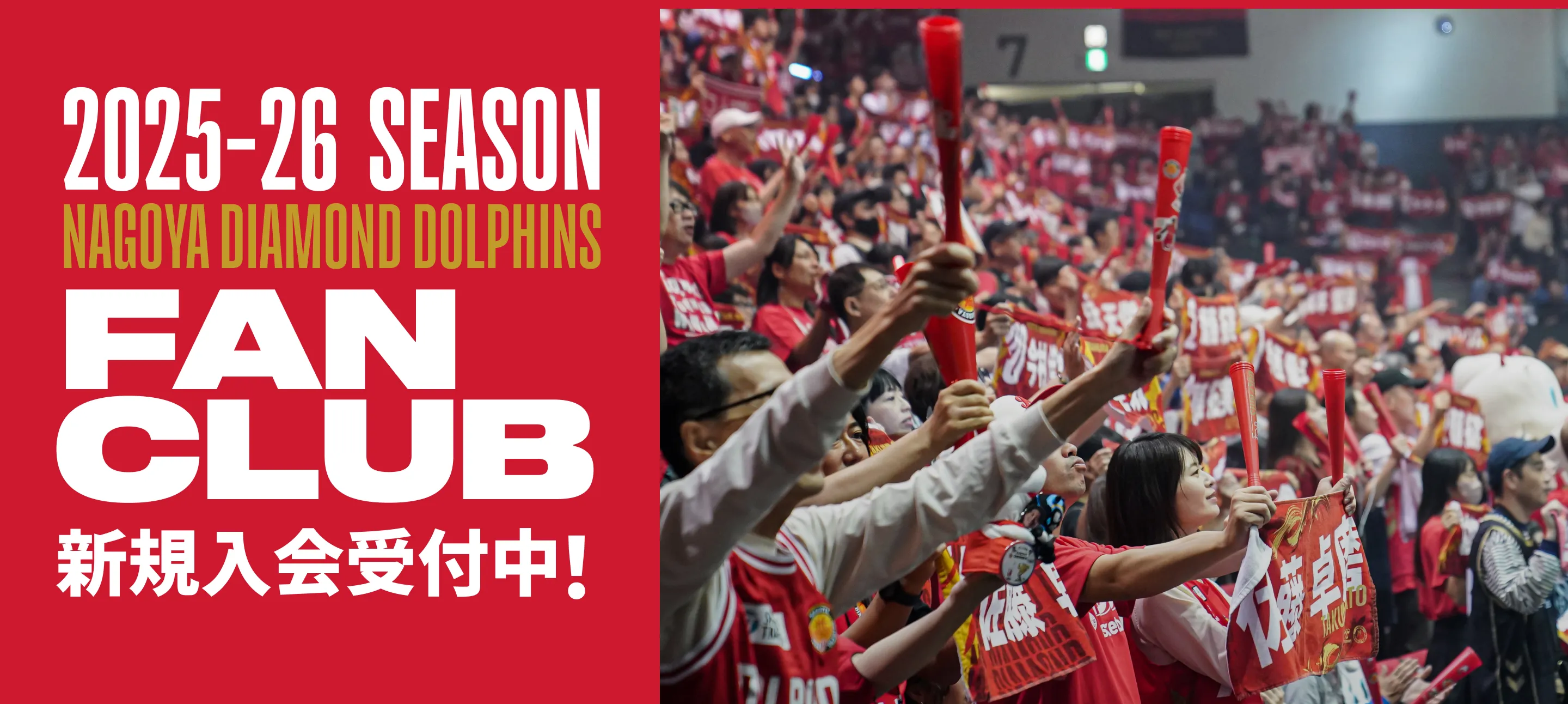 2025-26 SEASON NAGOYA DIAMOND DOLPHINS FAN CLUB 新規入会受付中!