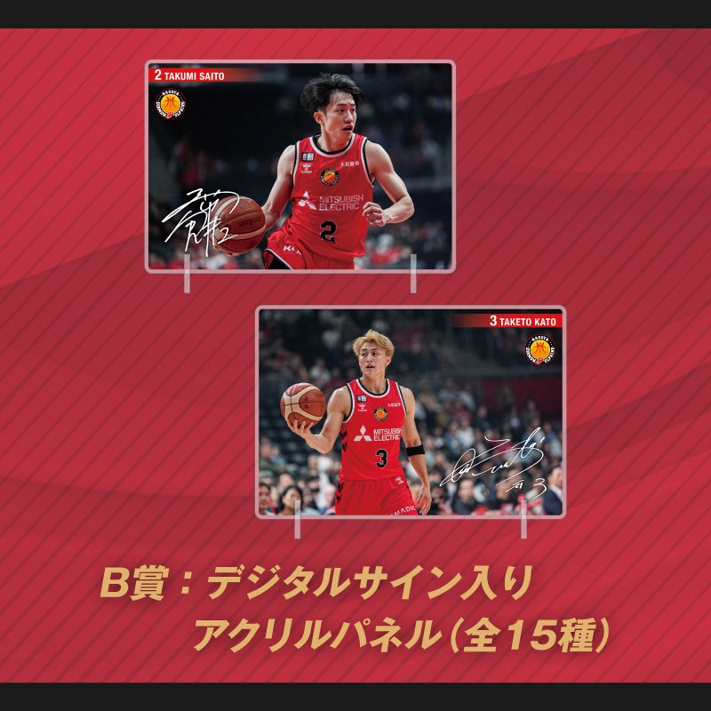 2025-26シーズン 名古屋ダイヤモンドドルフィンズ オンライン