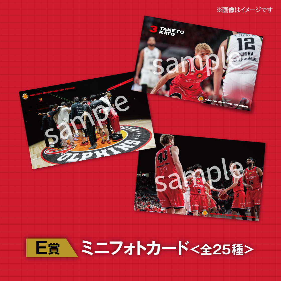 2025-26シーズン 名古屋ダイヤモンドドルフィンズ オンラインくじ