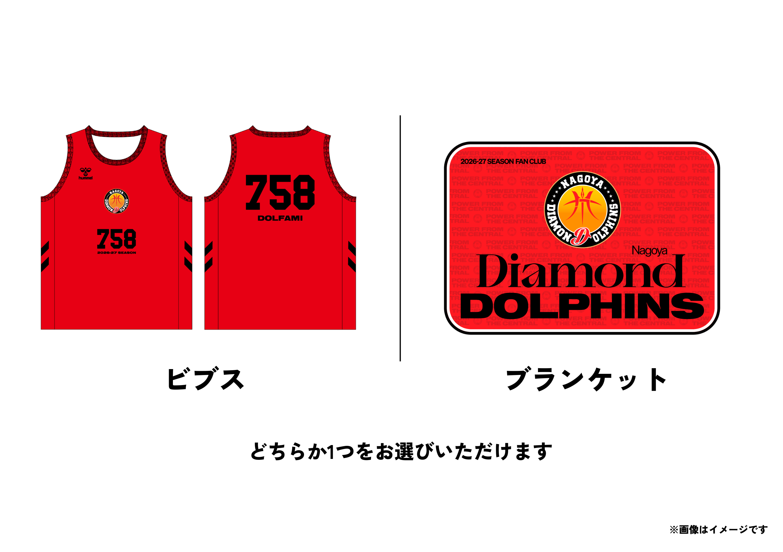ファンクラブ 2026-27 | 名古屋ダイヤモンドドルフィンズ
