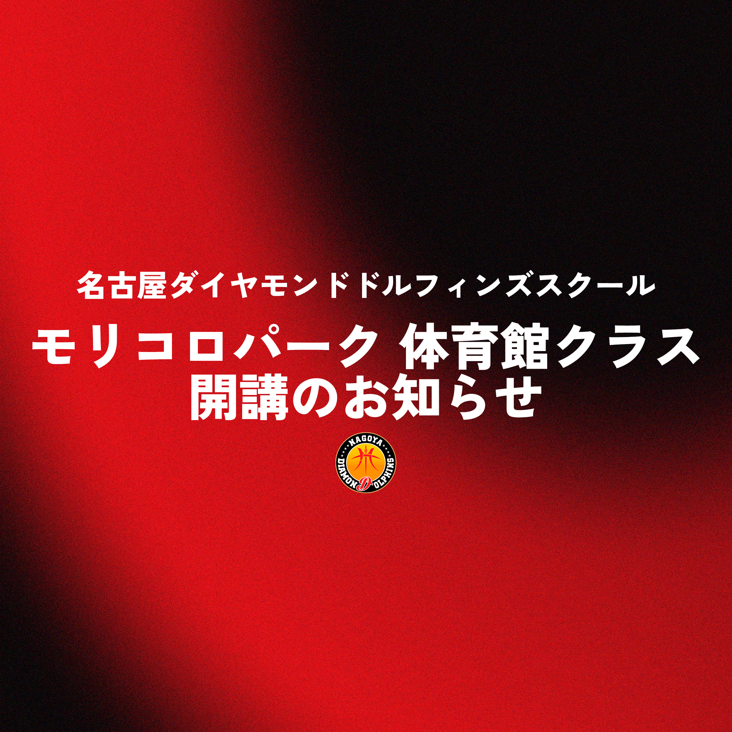 2026年度名古屋ダイヤモンドドルフィンズスクール モリコロパーク 体育館クラス開講のお知らせ